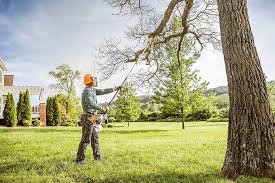 Tree and Shrub Care in Manhattan, MT